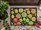 Colorful Lemons Doormat Front Door Mat Indoor Outdoor Rugs for Entryway, Non Slip Washable Low Pile, 24H X 36W