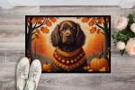 Boykin Spaniel Fall Doormat Front Door Mat Indoor Outdoor Rugs for Entryway, Non Slip Washable Low Pile, 24H X 36W