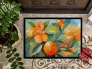 Florida Orange Blossom in Watercolor Doormat Front Door Mat Indoor Outdoor Rugs for Entryway, Non Slip Washable Low Pile, 24H X 36W