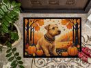 Lakeland Terrier Fall Doormat Front Door Mat Indoor Outdoor Rugs for Entryway, Non Slip Washable Low Pile, 24H X 36W