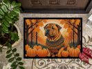 Shar Pei Fall Doormat Front Door Mat Indoor Outdoor Rugs for Entryway, Non Slip Washable Low Pile, 24H X 36W