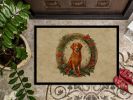 Nova Scotia Duck Tolling Retriever Christmas Flowers Doormat Front Door Mat Indoor Outdoor Rugs for Entryway, Non Slip Washable Low Pile, 24H X 36W
